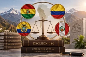 Decisión 486 Decision 486 第486号决定